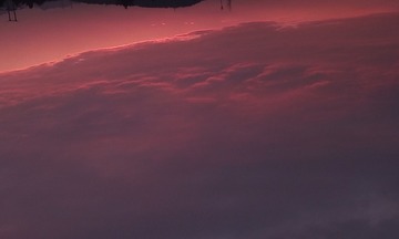 316
