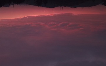 320