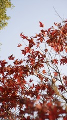 603FF38F-6CC4-4DD3-A841-9FD3152DE354/L0/001