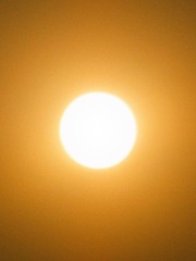 20914