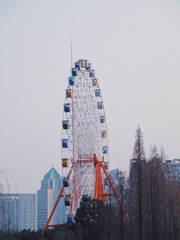 20908