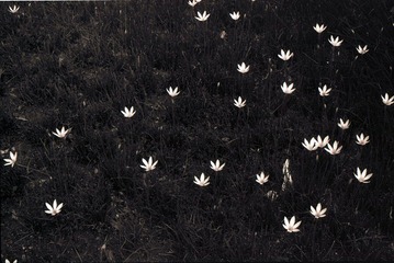 Untitled-15.jpg