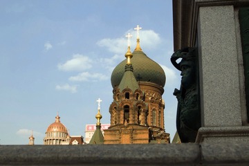 dsc_0090_