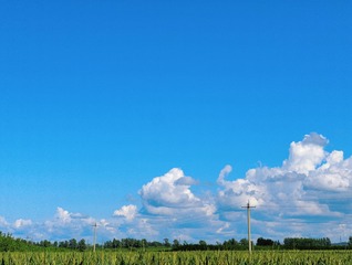 88871D5C-8159-43CD-B17E-8CE060BE8210/L0/001