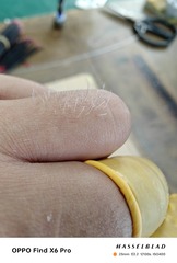 1000021322