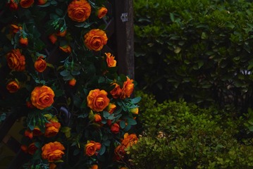 3FA883EB-2E41-4A49-8812-100947FCD423/L0/001