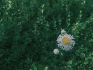 1605258