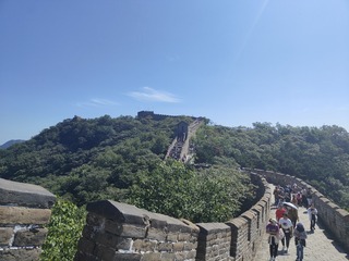 1000104089