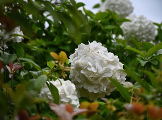 A3C20790-6D91-477D-908B-105214AAD674/L0/001