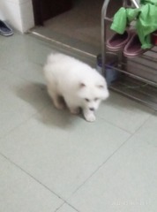 270566