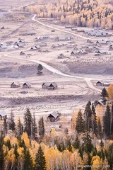 _DSC7199.jpg