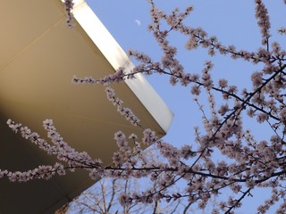 779F590B-7FDE-43EF-A232-EE38AC666F35/L0/001
