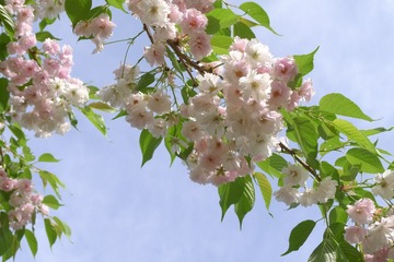 54549BD2-C49B-4775-8B0E-75418F84FF81/L0/001