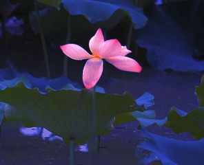 001