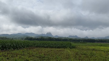 1000011667