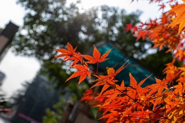 FB6F926C-1873-4F92-8C82-35BAC391C75F/L0/001