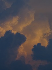 135561