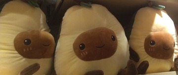 1481