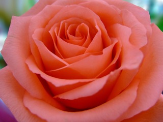 DSCF1525xb