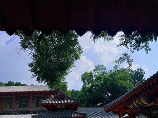 43D9A839-8CB5-453D-B022-C5325A5DC2A7/L0/001