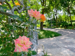 5B286F27-C176-4774-8C7A-375B7CD15C45/L0/001