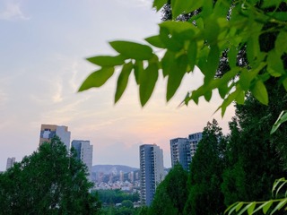 9A3322AD-F451-4FFE-8750-63A16C3305A0/L0/001