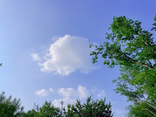 1B970617-60E6-48C1-88E1-FE384DA25619/L0/001