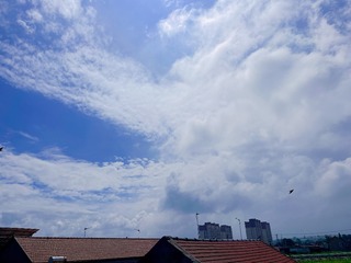 A367F637-653D-4CA2-832D-324519B3DF28/L0/001