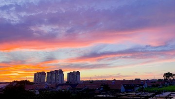 C6785D15-6C70-4AA0-AEAD-B378FC392269/L0/001