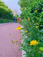 DB347481-DBD1-4361-BBE2-5CF50A1CB677/L0/001
