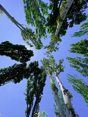 65AAC10D-82F5-4B6A-B049-BF620045F853/L0/001