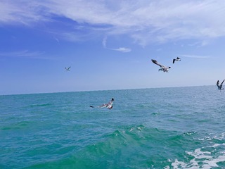 EF2D82F1-9F5D-480C-A9FF-0D7A7145B4A7/L0/001