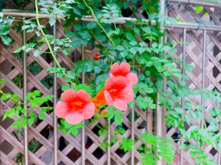 10283A91-3E07-4BC5-9864-8CFC2B7A2D9F/L0/001