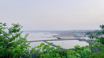 4AA02497-A3E0-4315-84DD-A4312FDB76A6/L0/001