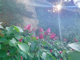 47A97B96-58FF-4336-9A15-21377F0E9ADD/L0/001