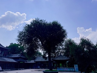 97C33DB5-EF66-434D-A1B0-1BECEE6A932F/L0/001