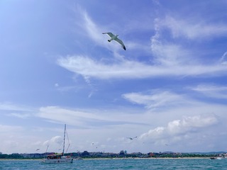 892C271A-9947-4D00-B71E-E6D80F744F7A/L0/001