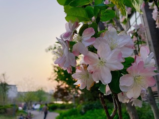 E742D954-F114-4C02-A765-9100920ADFE6/L0/001