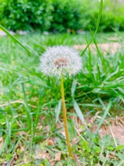 915CB325-C750-4D25-9299-4488FA4B140E/L0/001