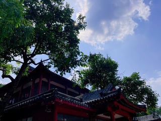 02CC044B-A146-4309-A0E7-AB9212B17960/L0/001