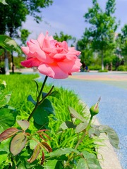 F9BC6564-49B6-4814-9B88-39F9C4A9C6CB/L0/001