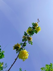 38EFF4DC-23CC-4C26-968C-794D7FA4ED7E/L0/001