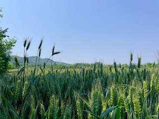 FA07D520-6F1B-478D-A1DE-A016D4899C1A/L0/001