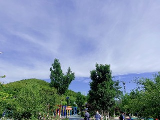 18628906-2221-4161-A89A-6B0967E325E8/L0/001