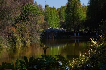 B9561441-E0DE-480E-BD64-606EFB5205EF/L0/001