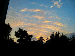 CEE19601-9A25-46B4-BD9B-76C37BCF7B24/L0/001