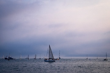 3281D5A3-7B81-4381-8271-D050A006DFD1/L0/001