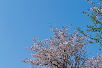 4617AA51-BF50-4AC9-BB6F-D5D3695280F0/L0/001