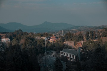 1000038060
