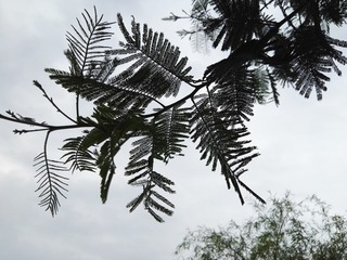 991B451F-CADB-4C02-BD60-363D659F2B46/L0/001